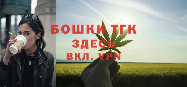 дживик Лабытнанги