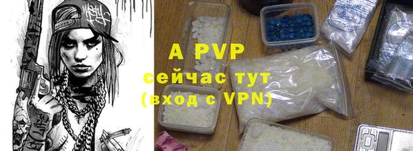 дживик Лабытнанги
